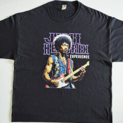 Jimi Hendrix Are You Experienced