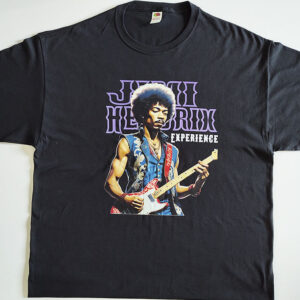 Jimi Hendrix Are You Experienced